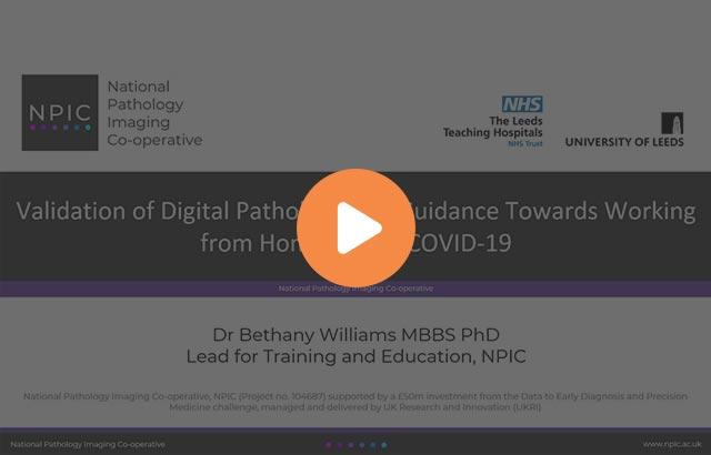 validation-of-digital-pathology-and-guidance-towards-working-from-home-during-640x410