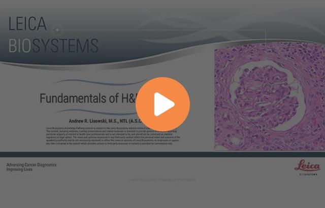 fundamentals-of-he-staining-640x410