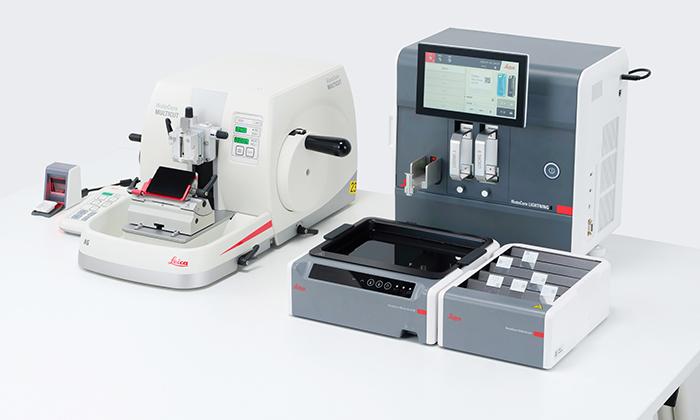 Optimized design and sectioning workflow