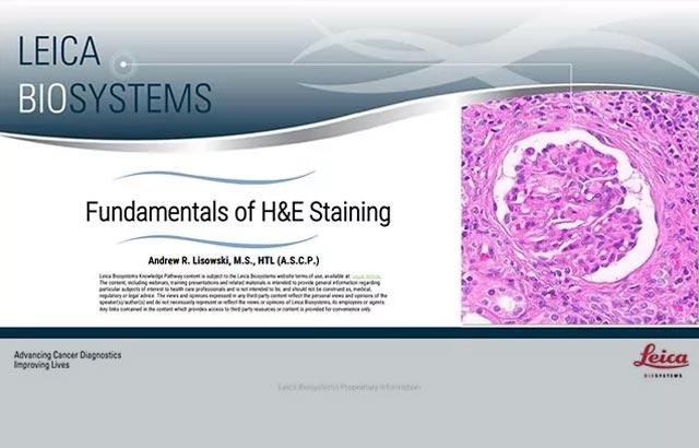 fundamentals-of-h-e-staining-article-640x410