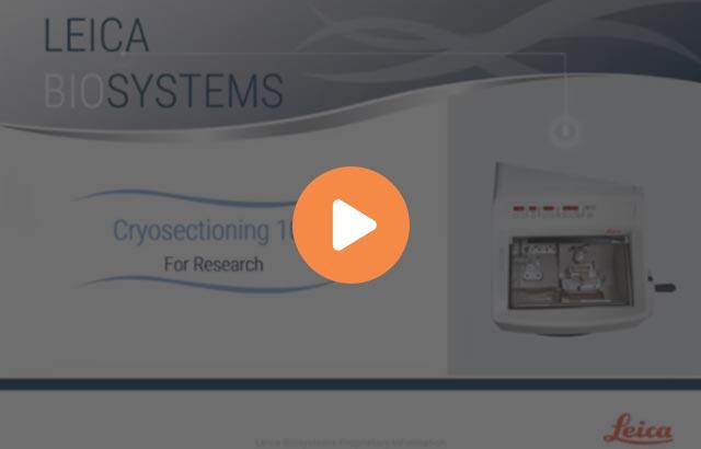 cryosectioning-101-for-research-640x410