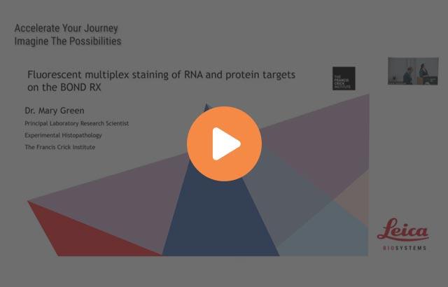 fluorescent-multiplex-staining-of-rna-and-protein-targets-on-the-640x410