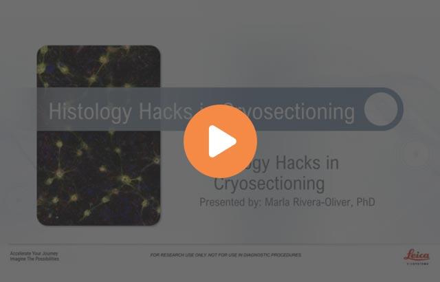 histology-hacks-for-cryosectioning-640x410