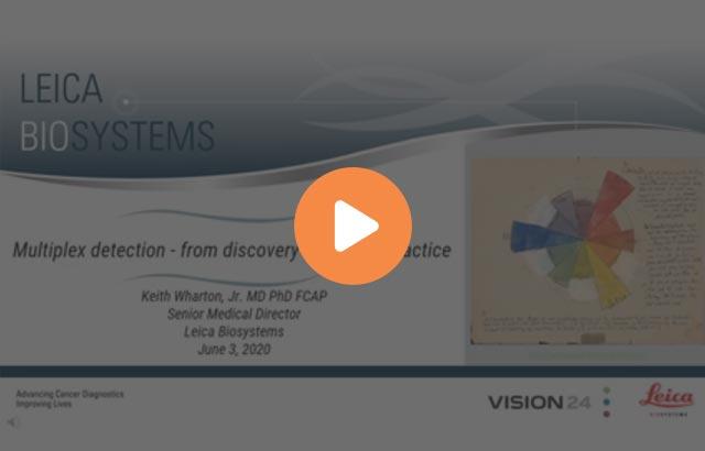 multiplex-detection-from-discovery-to-clinical-practice-640x410