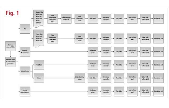 using-lean-tools-to-identify-inefficiencies-in-ihc-processing-640x410