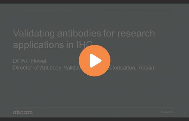 validating-antibodies-for-research-applications-in-ihc-640x410