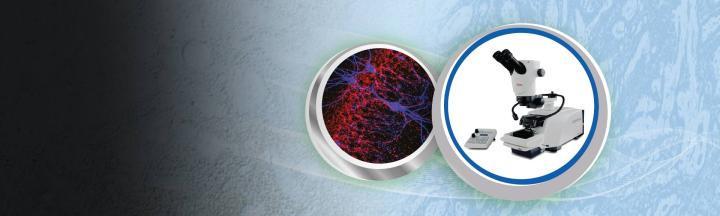 Vibratomes-hero-banner-1920x575-4 Vibratomes-hero-banner-1920x575-4