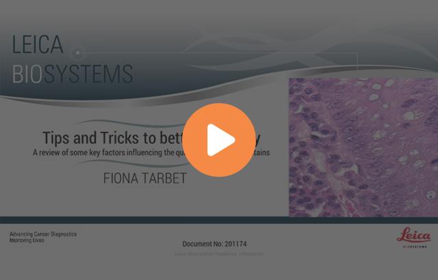 tips-tricks-to-better-histology-in-tissue-based-research-part-2-a-640x410