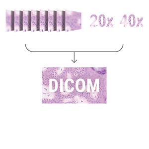 DICOM-FILE-300x300