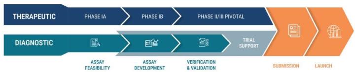 Figure 2. Drug-diagnostic co-development process