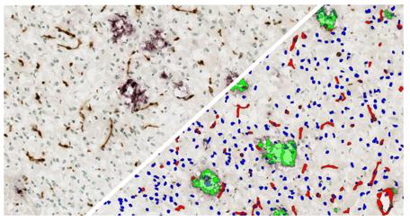 halo-Object-Colocalization