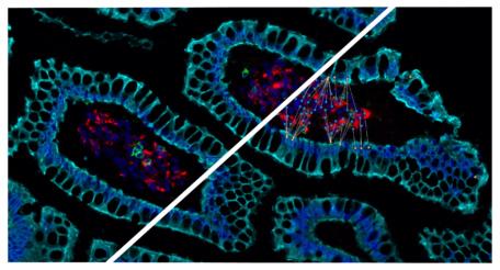 halo-Spatial-Analysis