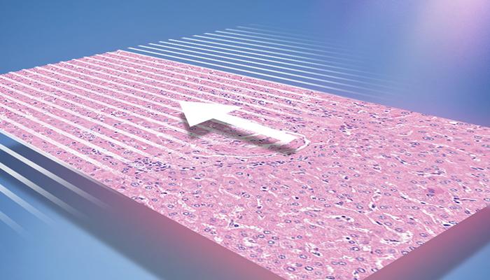 Default-Calibration-Point-700x400