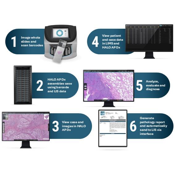 HALO-AP-Dx-HALO-AP-Dx-Integrates-into-Existing-Frameworks