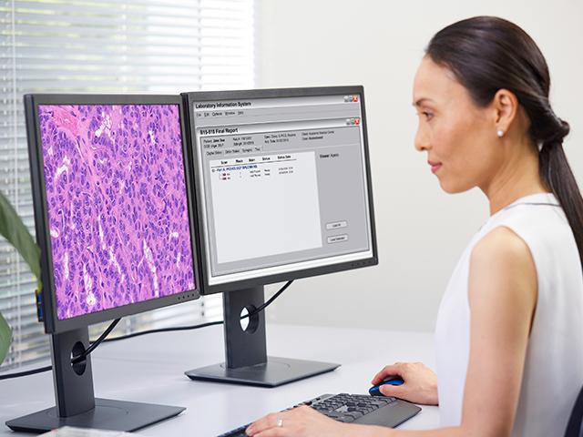 KP-Digital-Pathology-640x480