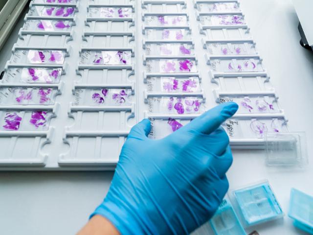 he-basics-part-4-troubleshooting-he-640x480