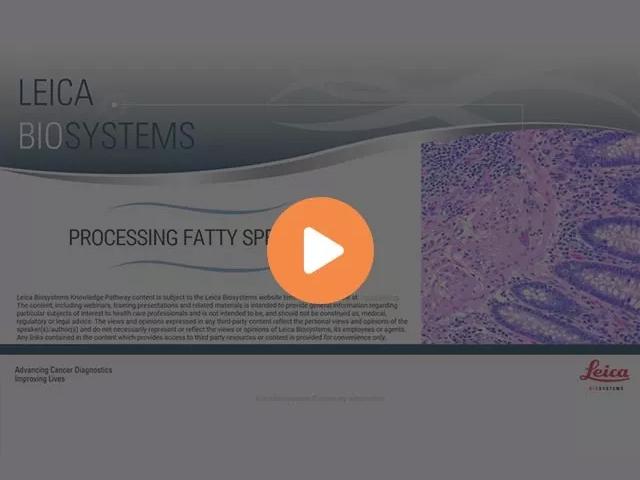 processing-fatty-specimens-640x480