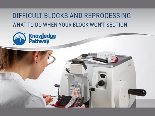 troubleshooting-reprocessing-difficult-paraffin-blocks-640x480