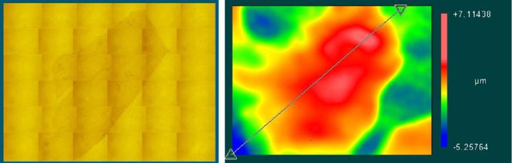 Study-on-the-performance-of-different-cover-glasses-in-microscopy-microscopy-image-6