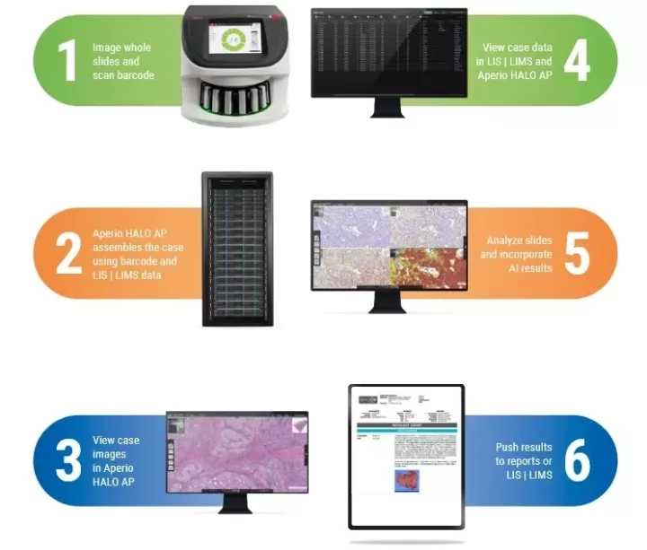 Aperio halo Integrated Pathology RUO us