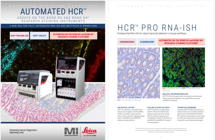 1218-GBL-EN-v1-MI-x-LBS-Brochure-cover