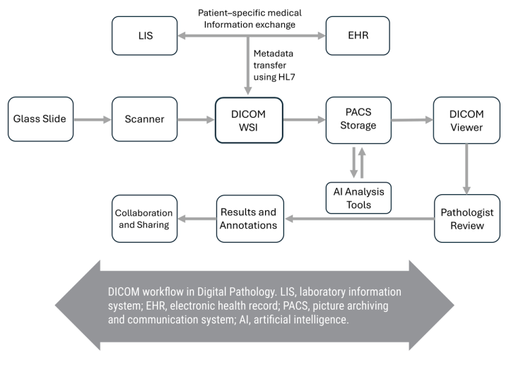 Patient-specific-medical-information-exchange