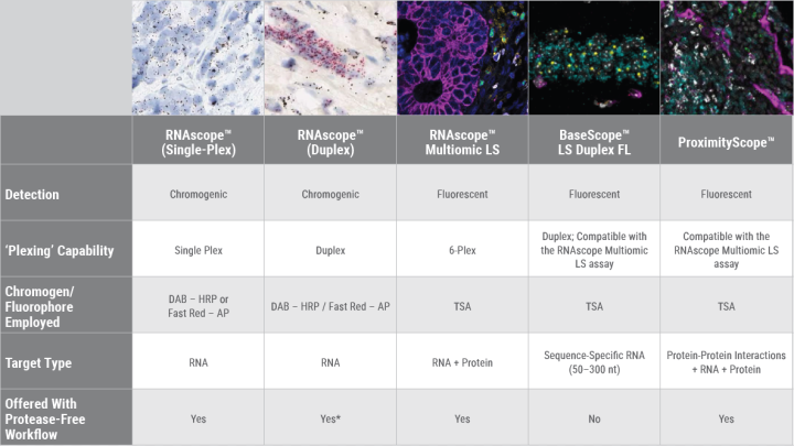 biotechne spatial Tech Table