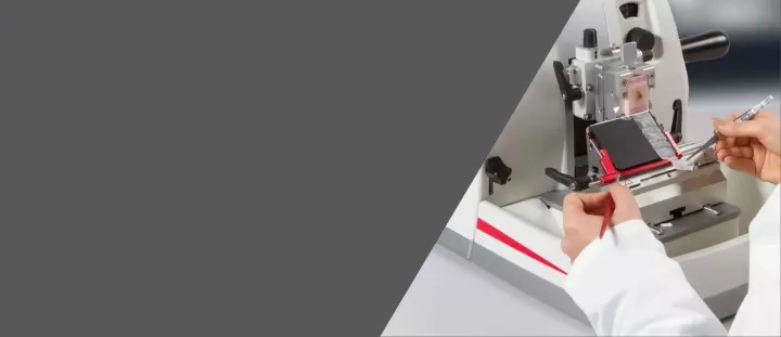 DACH Sectioning Promo