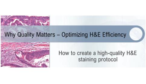 H&E Staining
