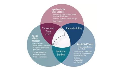 Digital-Pathology-in-Toxicological-Pathology-Studies-900x506