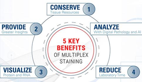 Tips-and-Tricks-to-Multiplexing-636x280