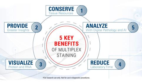 Tips-&-Tricks-to-Multiplexing-How-to-Choose-Chromogen-Colors-for-Multiplex-and-Detection-Systems-for-Multiplex-Assays-640x560