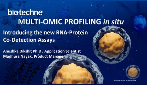 introducing-new-rna-protein-co-detection-assays-640x410