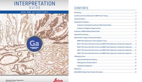 Interpretation-Guide-640x410-1