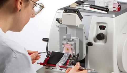 Leica RM CoolClamp - Improved workflow and uniform paraffin sections