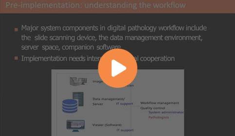 implementation-of-digital-pathology-for-routine-clinical-practice-640x410