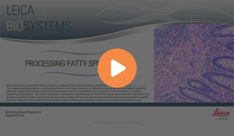 processing-fatty-specimens-640x410