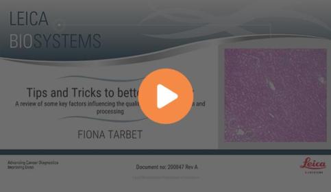 tips-and-tricks-to-better-histology-influencing-tissue-processing-and-preparation-640x410