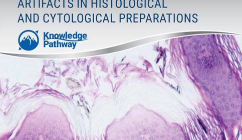 artifacts-in-histological-and-cytological-preparations-640x410