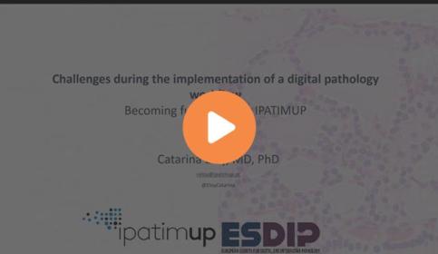 challenges-during-the-implementation-of-a-digital-pathology-workflow-becoming-640x410