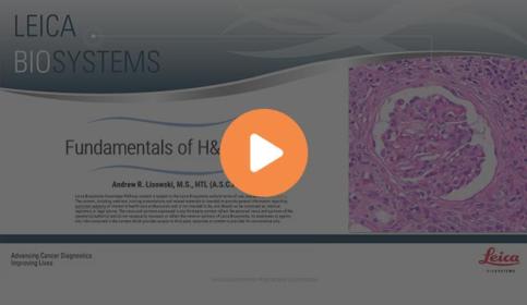 fundamentals-of-h-e-staining-640x410