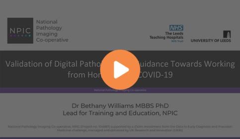 validation-of-digital-pathology-and-guidance-towards-working-from-home-during-640x410