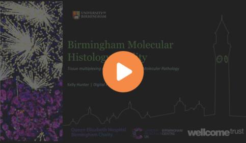 exploiting-digital-histology-approaches-to-probe-the-pathophysiology-of-sars-cov-2-infection-640x410