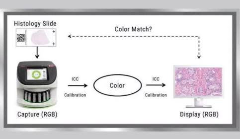 from-microscope-to-monitor-a-proprietary-color-match-method-from-640x410