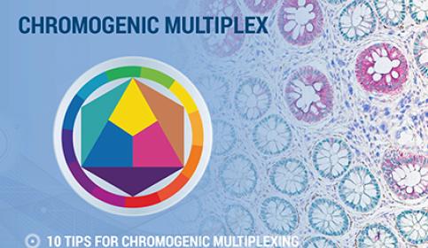 tips-tricks-to-multiplexing-how-to-choose-chromogen-colors-for-multiplex-thumb