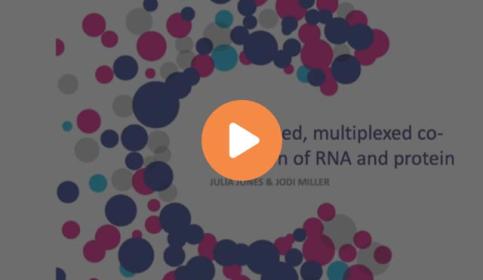 automated-multiplexed-co-detection-of-rna-and-protein-640x410