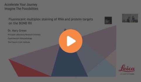 fluorescent-multiplex-staining-of-rna-and-protein-targets-on-the-640x410