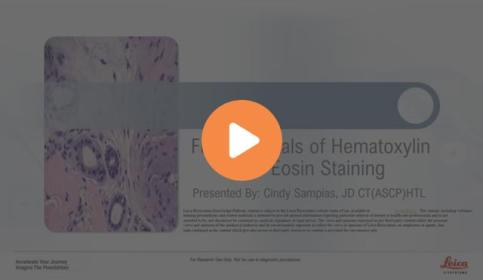 fundamentals-of-hematoxylin-and-eosin-staining-640x410