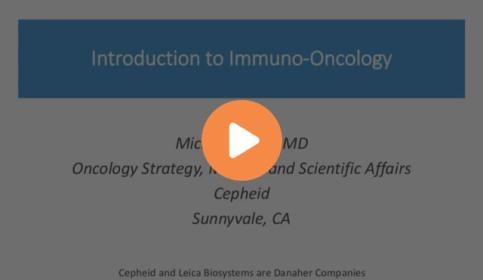 introduction-to-immuno-oncology-640x410