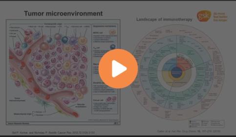 phenotyping-the-tumor-microenvironment-using-dna-barcoded-multiplex-technology-640x410